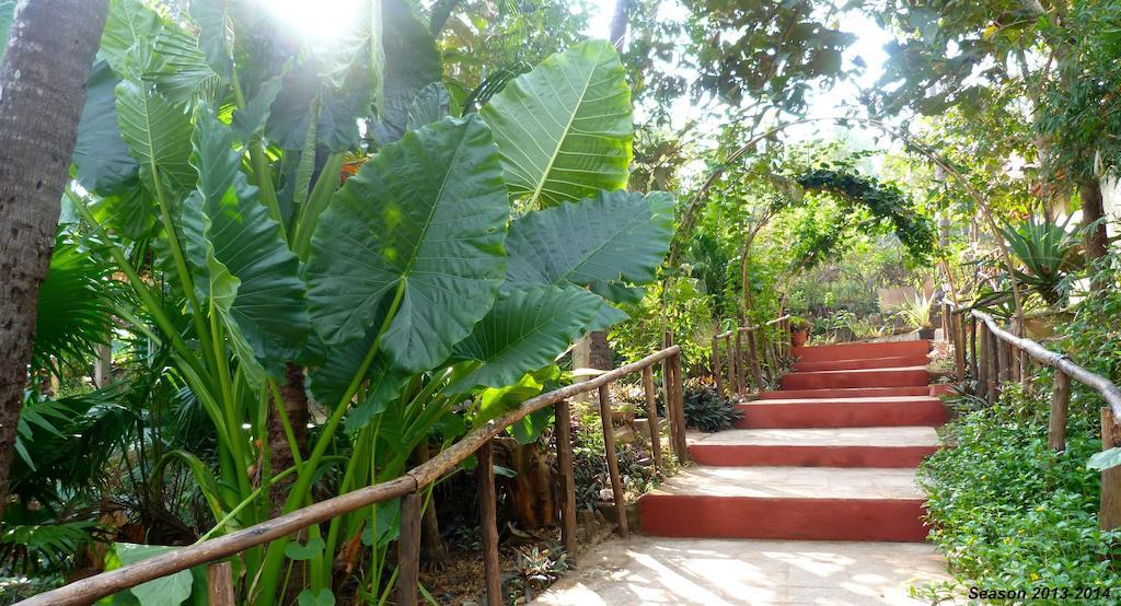 Secret Garden Resort Patnem Beach エクステリア 写真