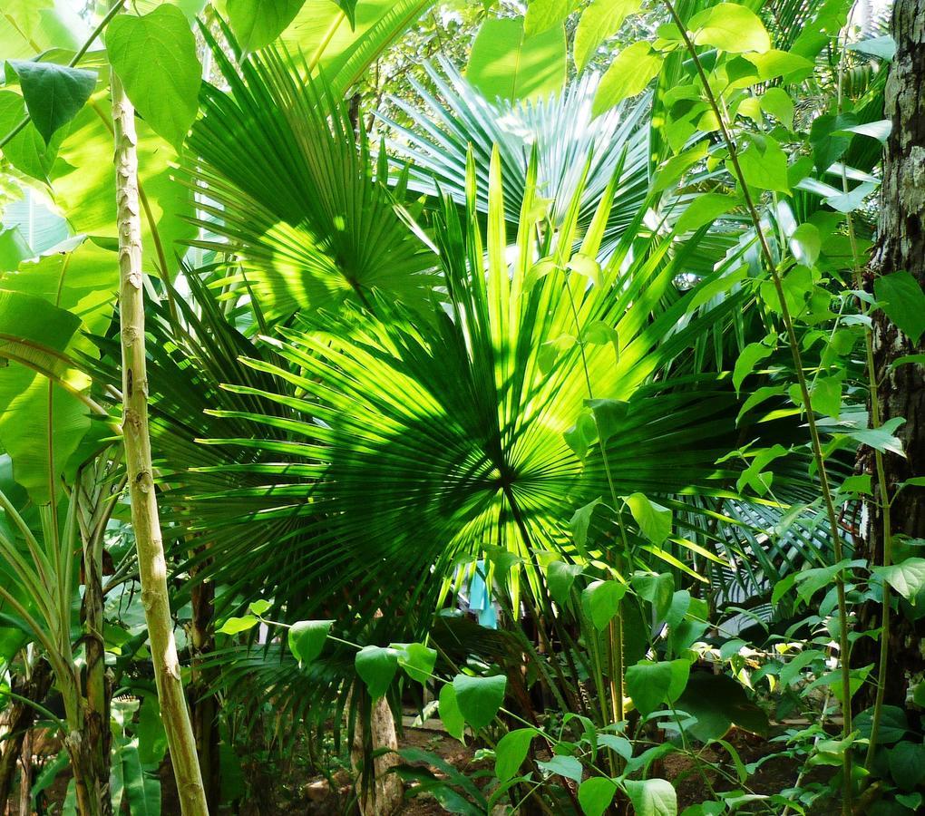 Secret Garden Resort Patnem Beach エクステリア 写真