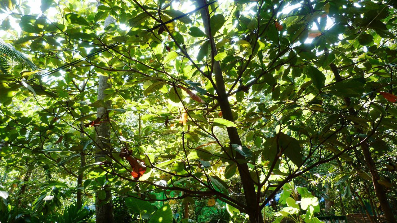 Secret Garden Resort Patnem Beach エクステリア 写真